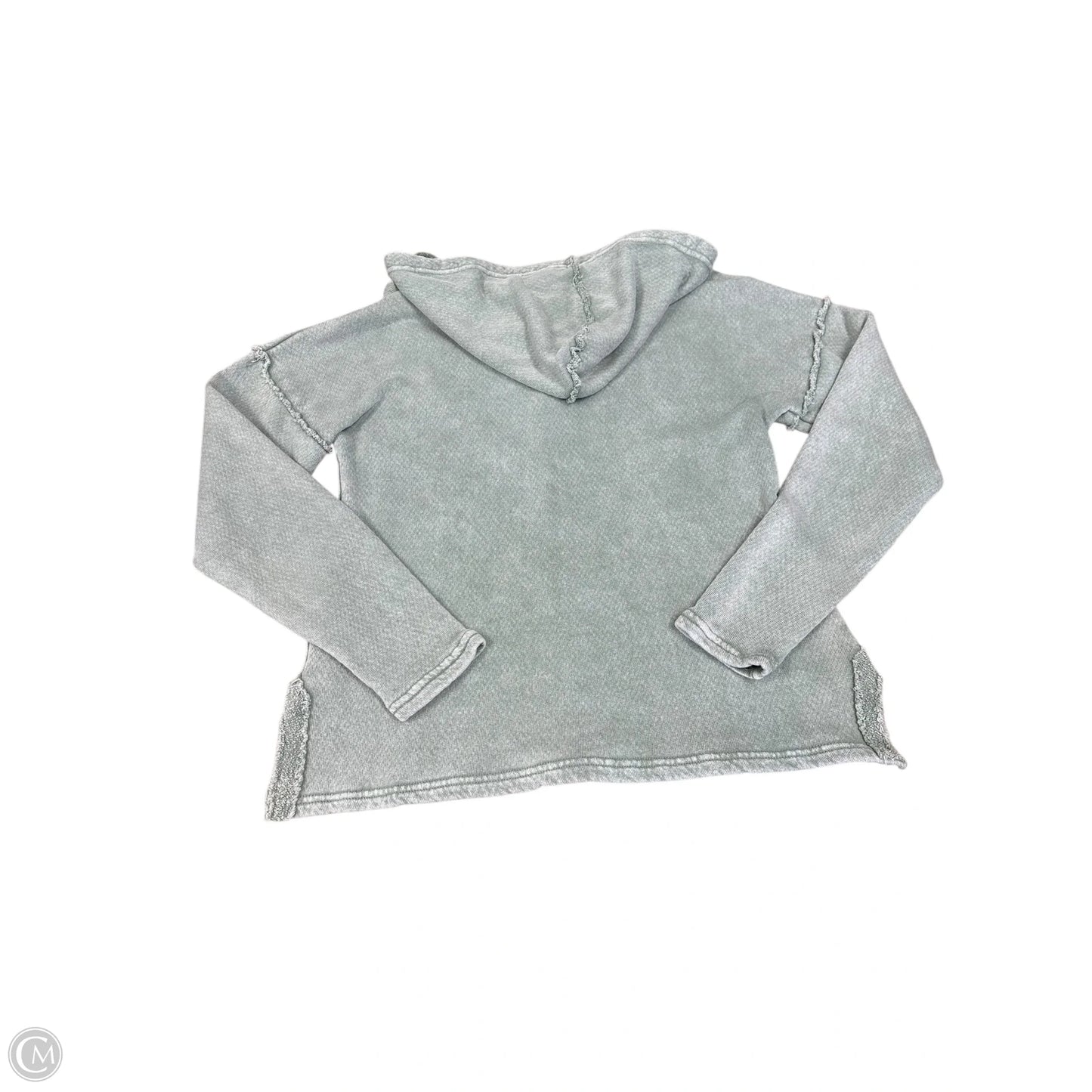 Sweatshirt Hoodie By White Crow In Grey, Size: S