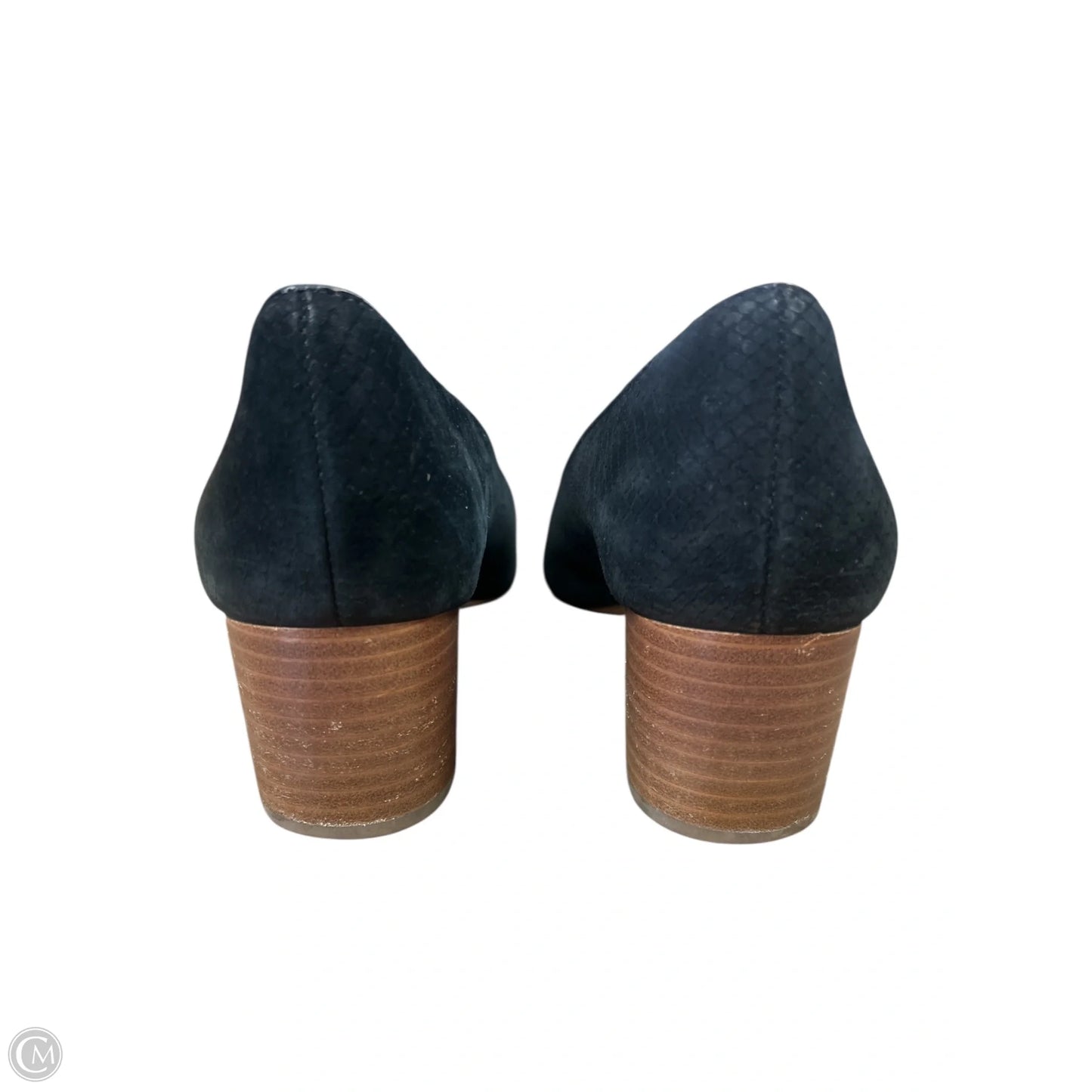Shoes Heels Kitten By Sole Society In Black, Size: 7
