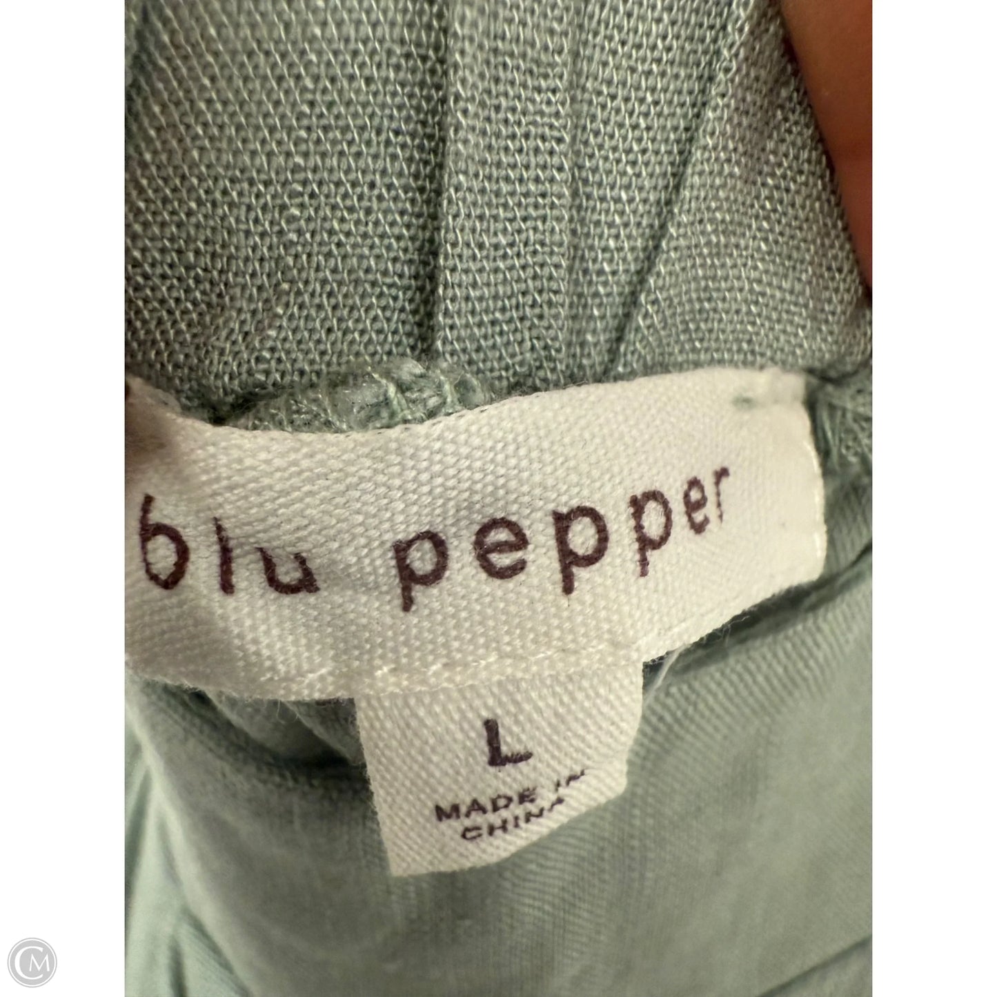 Skirt Maxi By Blu Pepper In Green, Size: L