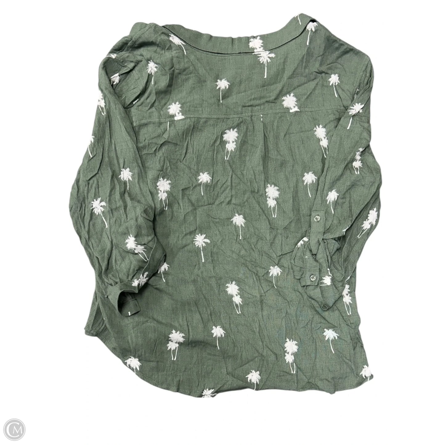 Blouse Long Sleeve By Market & Spruce In Green & White, Size: Xxl