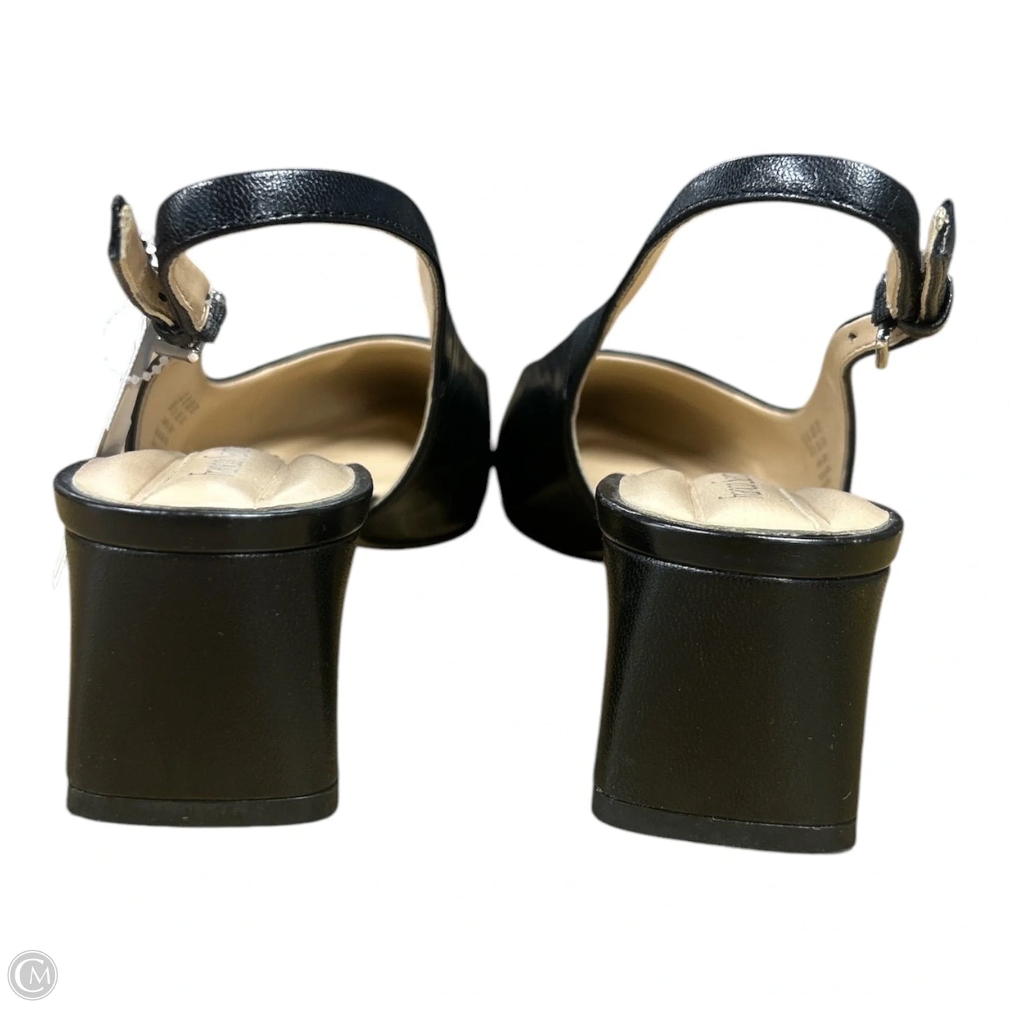 Shoes Heels Kitten By Franco Sarto In Black, Size: 8
