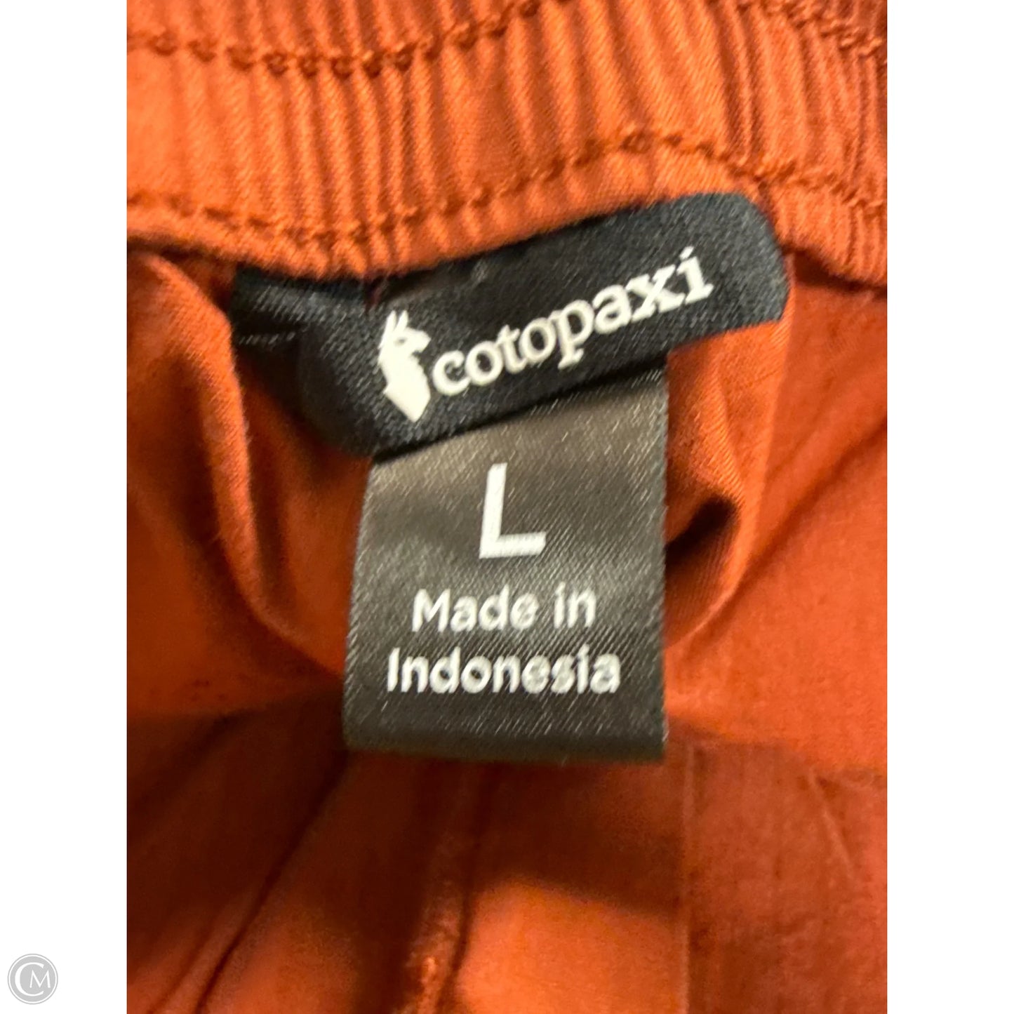 Pants Cargo & Utility By Cotopaxi In Orange, Size: M