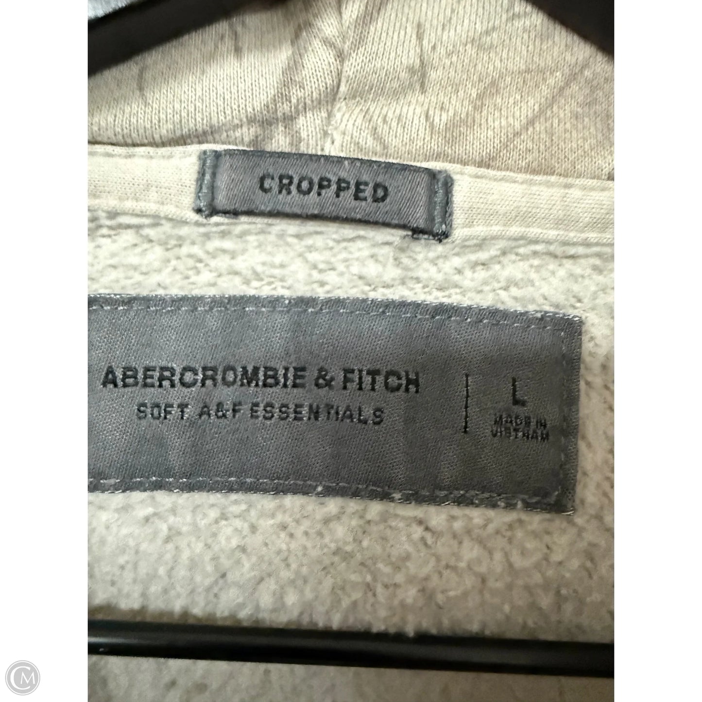 Sweatshirt Hoodie By Abercrombie And Fitch In Tan, Size: L