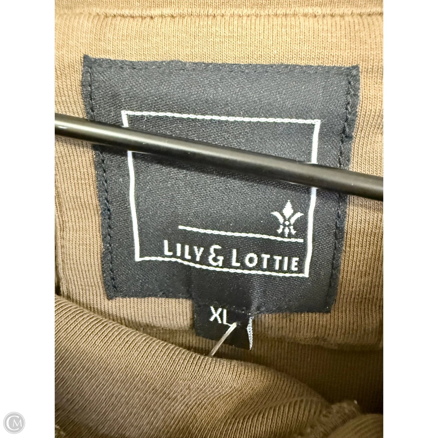 Sweatshirt Hoodie By Clothes Mentor In Brown, Size: Xl