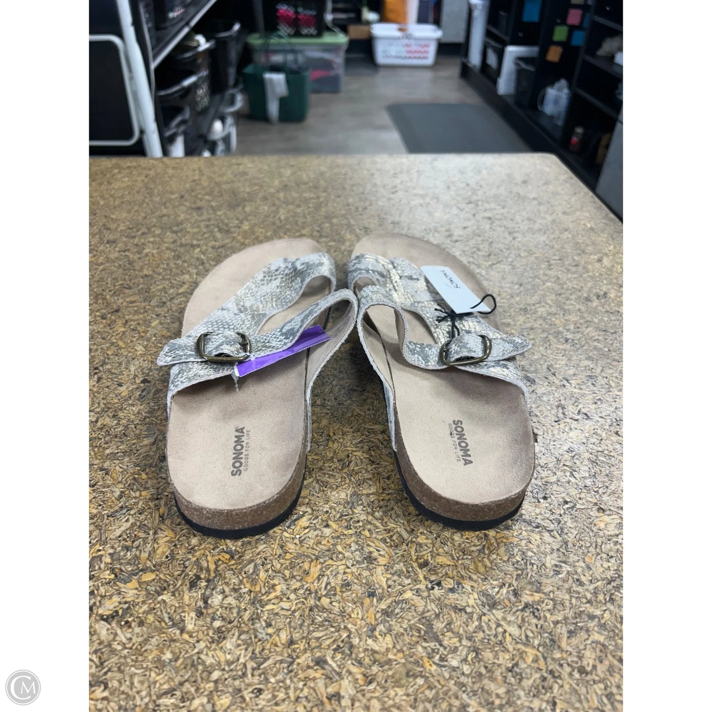 Sandals Flats By Sonoma In Snakeskin Print, Size: 9