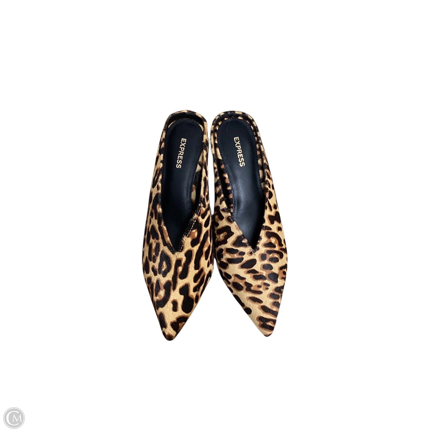 Shoes Heels Kitten By Express In Leopard Print, Size: 7.5
