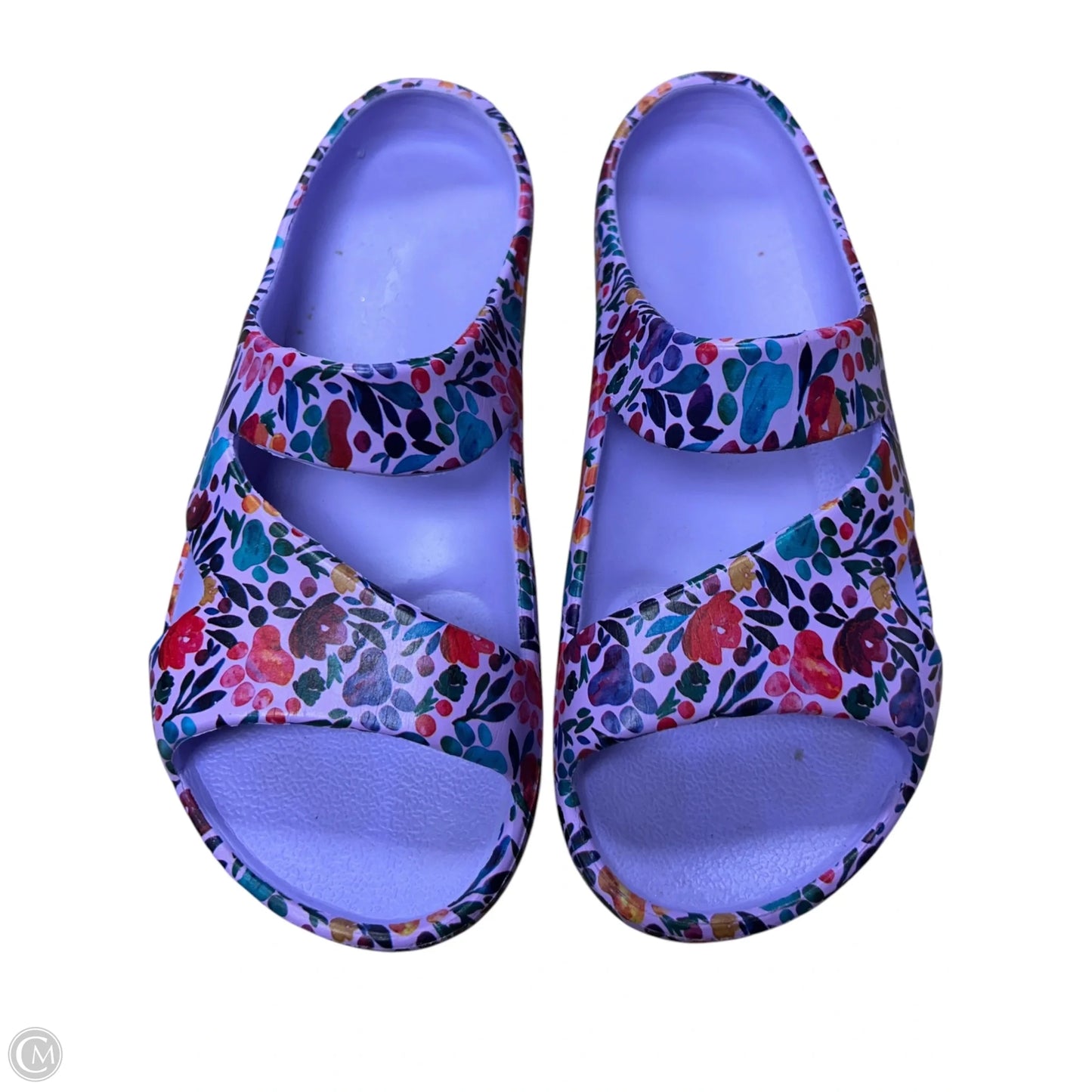 Sandals Flats By Cmf In Floral Print, Size: 7.5