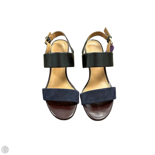 Shoes Designer By Tory Burch In Black & Blue, Size: 7