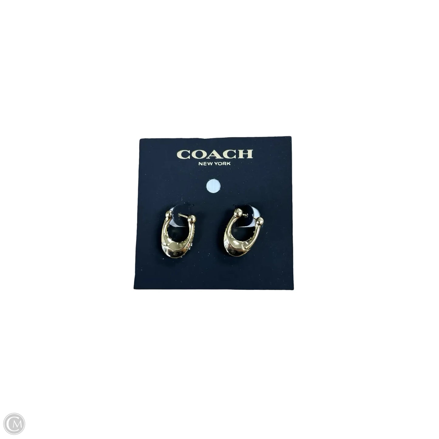 Earrings Designer By Coach