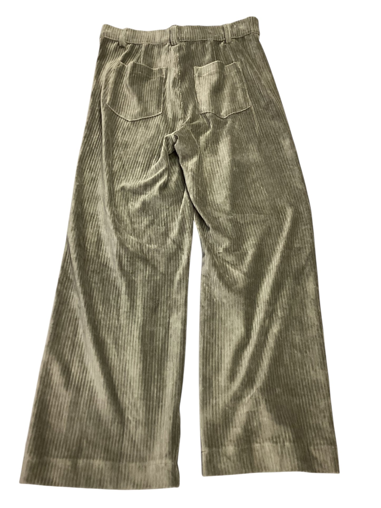 Pants Other By Z Supply In Green, Size: L