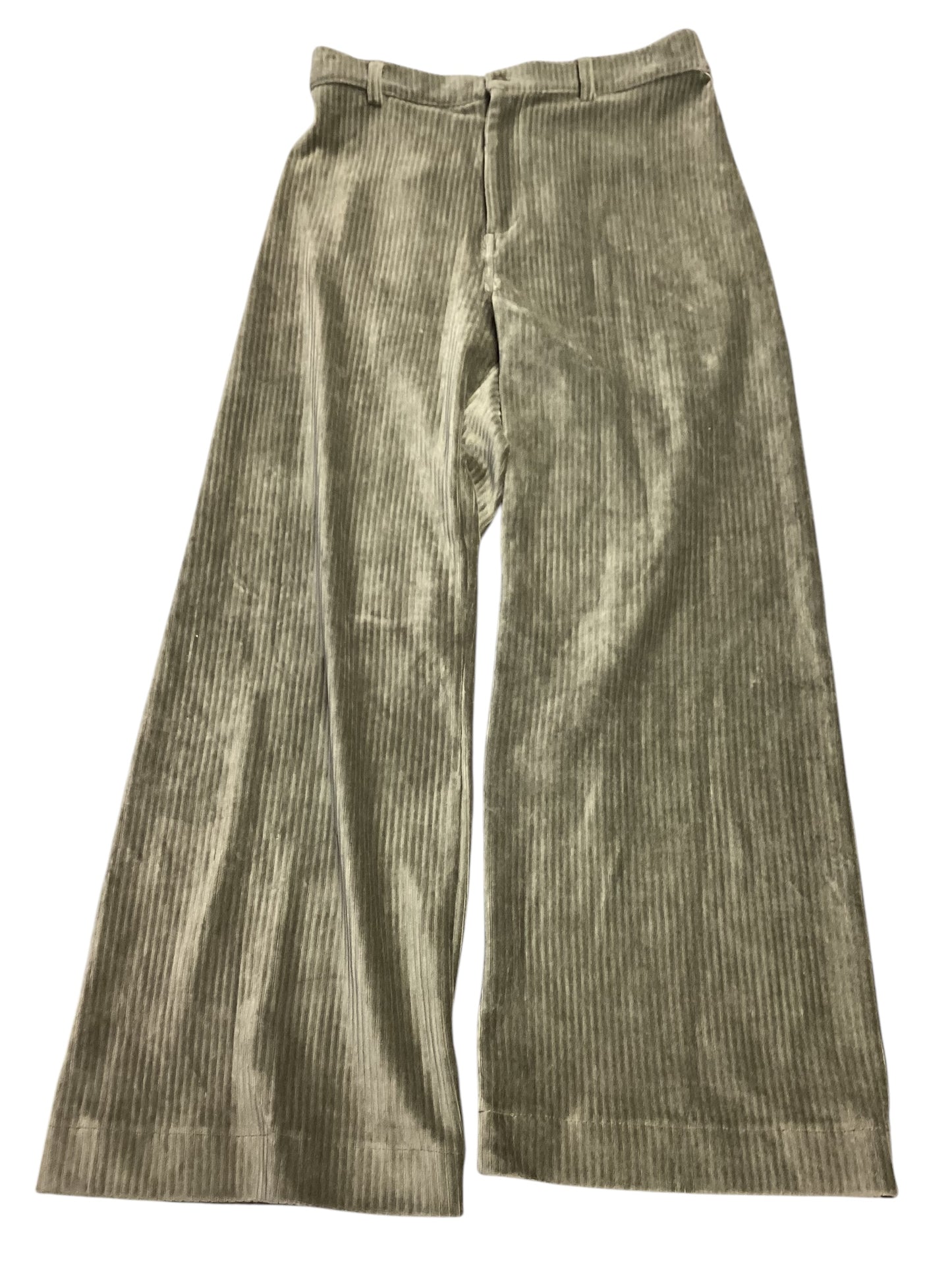 Pants Other By Z Supply In Green, Size: L