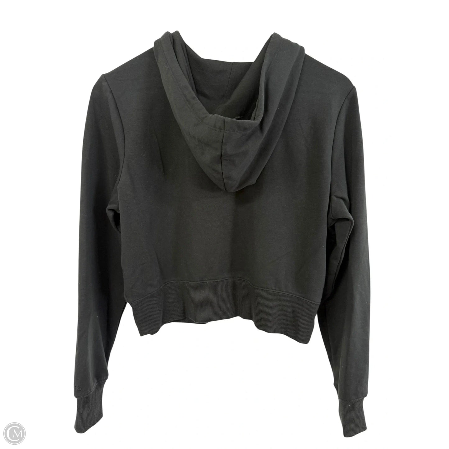 Athletic Sweatshirt Hoodie By Dsg Outerwear In Black, Size: M
