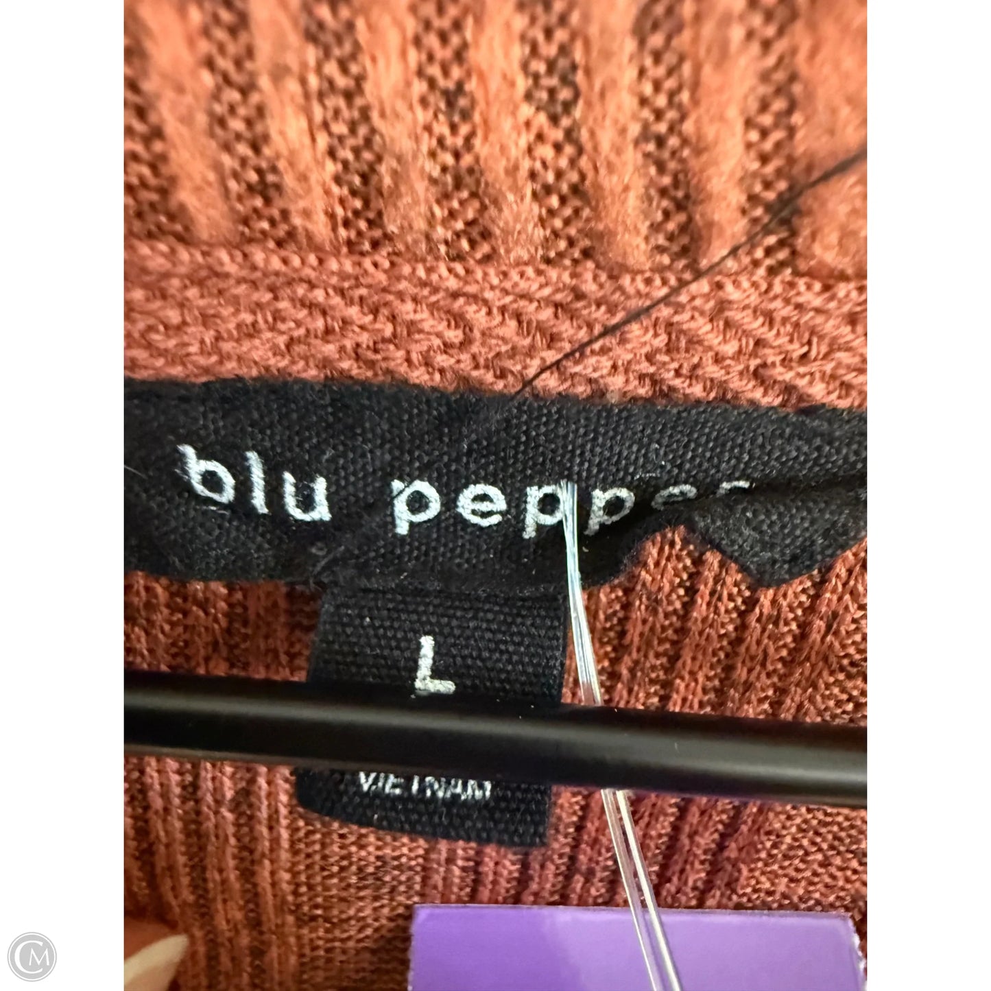 Top Long Sleeve By Blu Pepper In Brown, Size: L