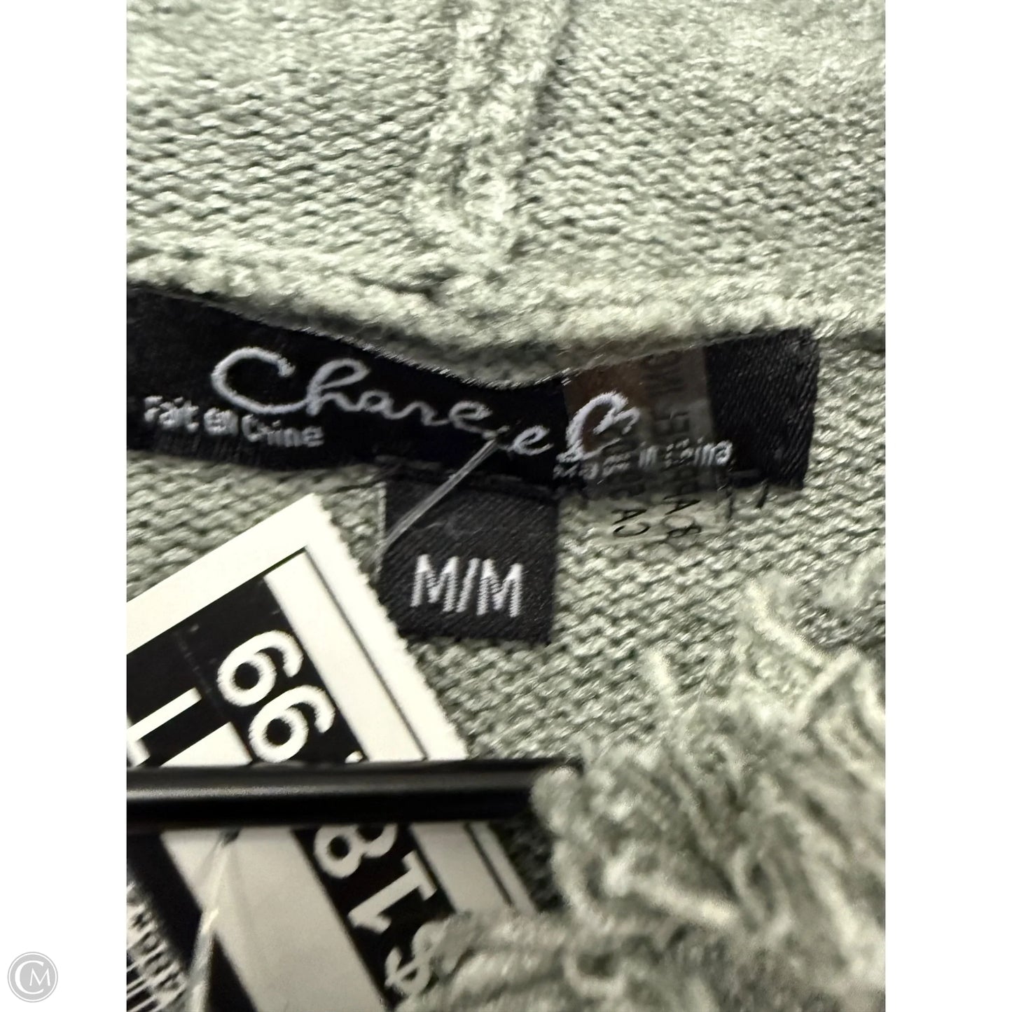 Sweater By Charlie B In Green, Size: M