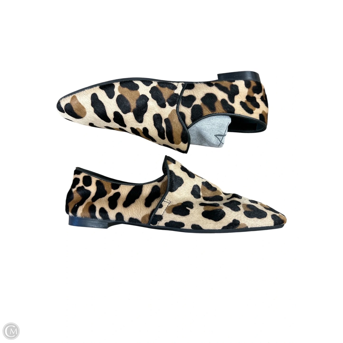Shoes Flats By Aquatalia In Leopard Print, Size: 9