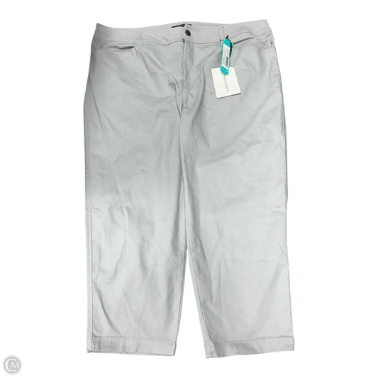 Pants Chinos & Khakis By 41 Hawthorn In Grey, Size: 18