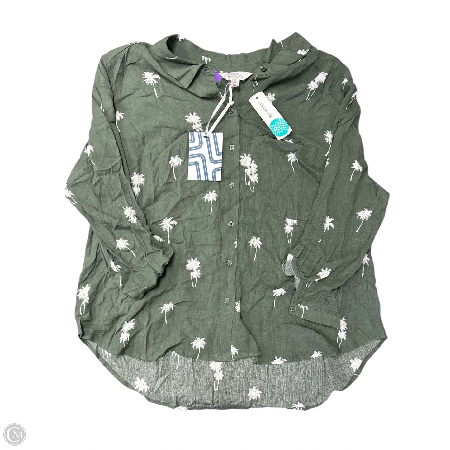 Blouse Long Sleeve By Market & Spruce In Green & White, Size: Xxl