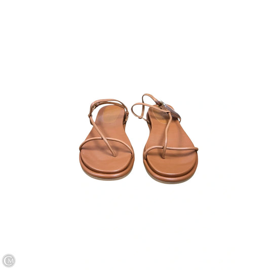 Sandals Flats By Dolce Vita In Brown, Size: 8.5
