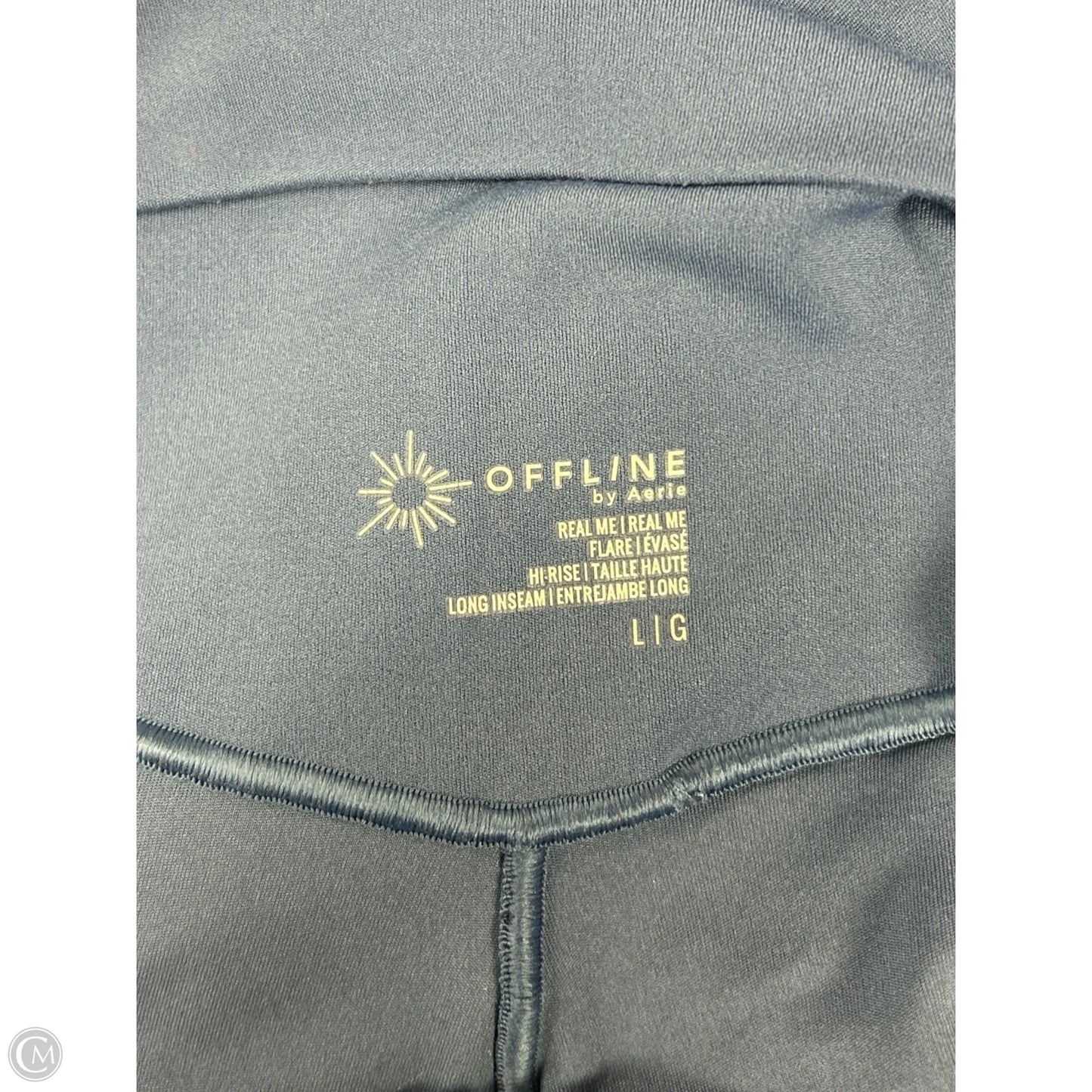 Athletic Pants By Aerie In Blue, Size: L