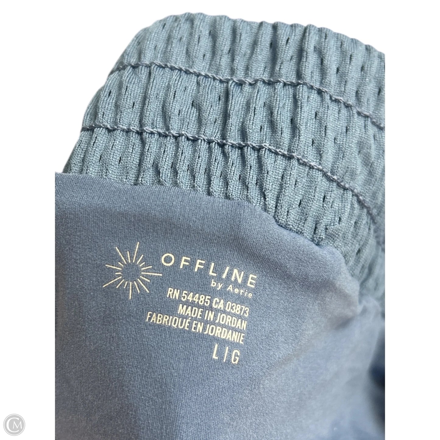 Athletic Pants By Aerie In Blue, Size: L