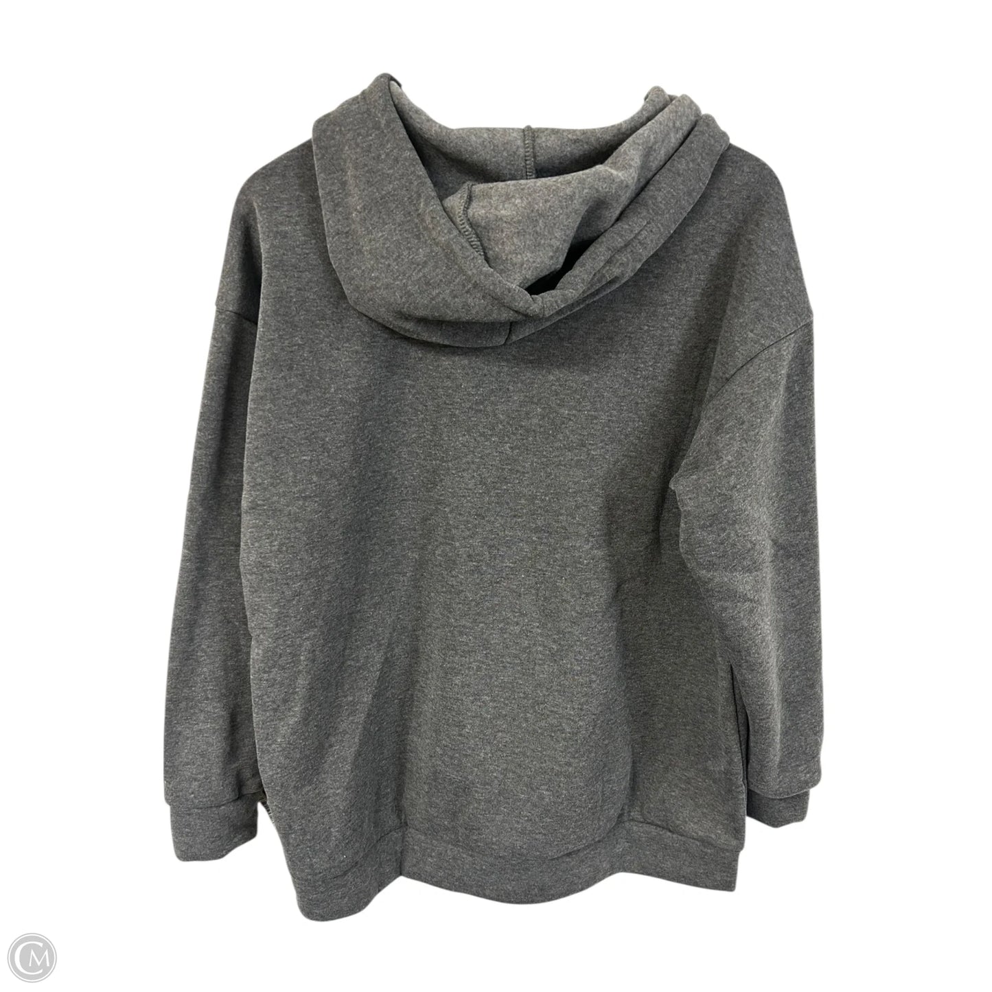 Sweatshirt Hoodie By Cme In Grey, Size: 1x