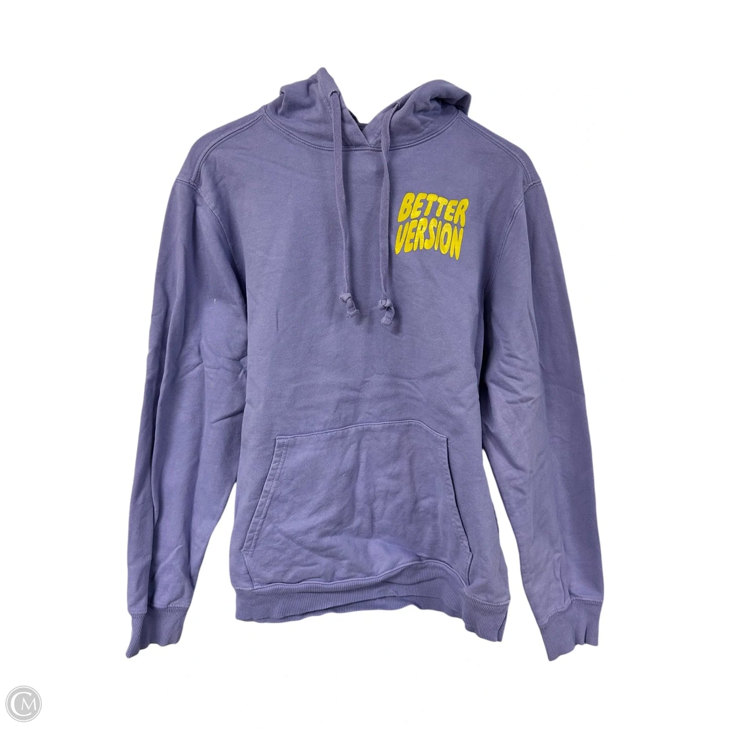 Sweatshirt Hoodie By Port & Company In Purple, Size: M