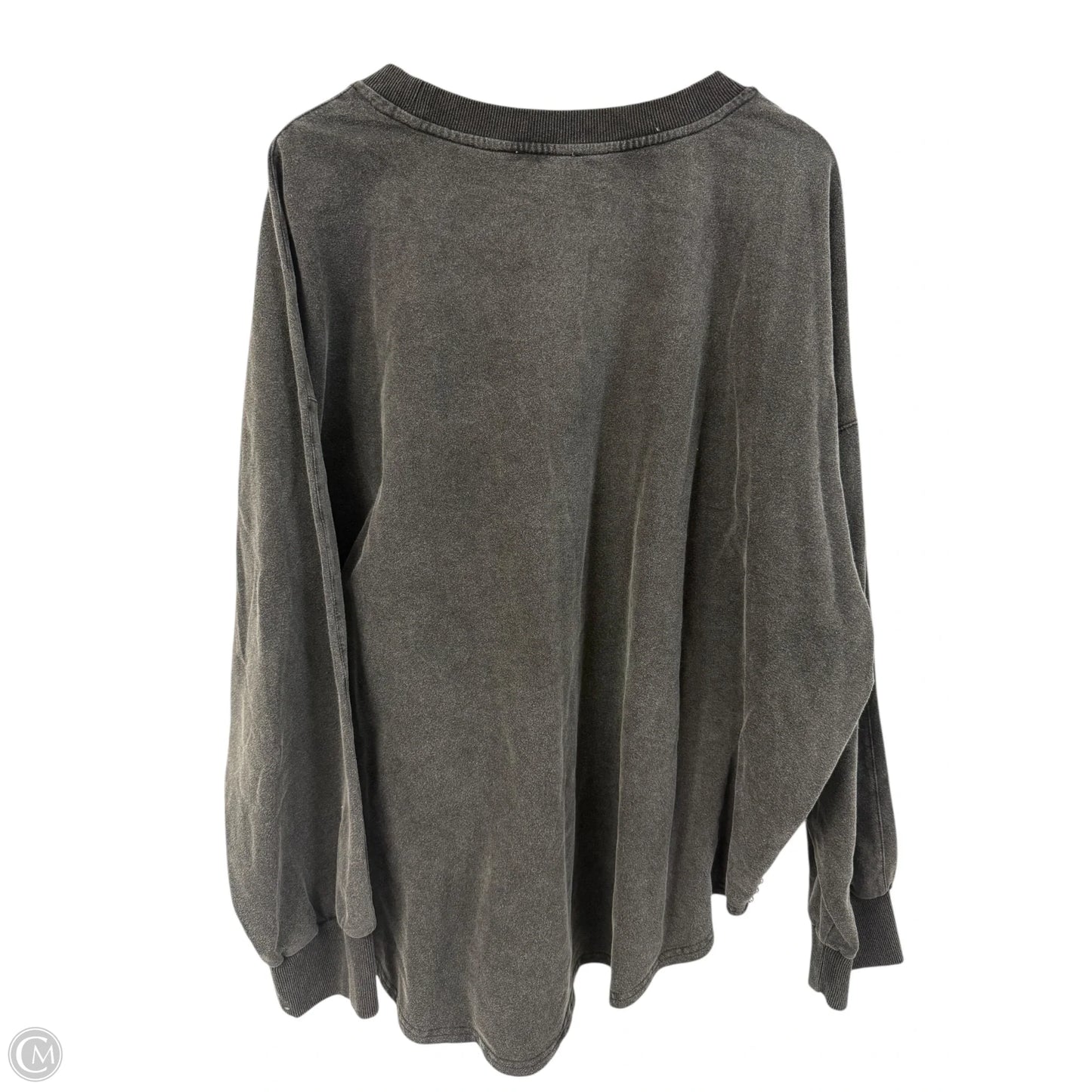 Sweatshirt Crewneck By White Birch In Grey, Size: 3x
