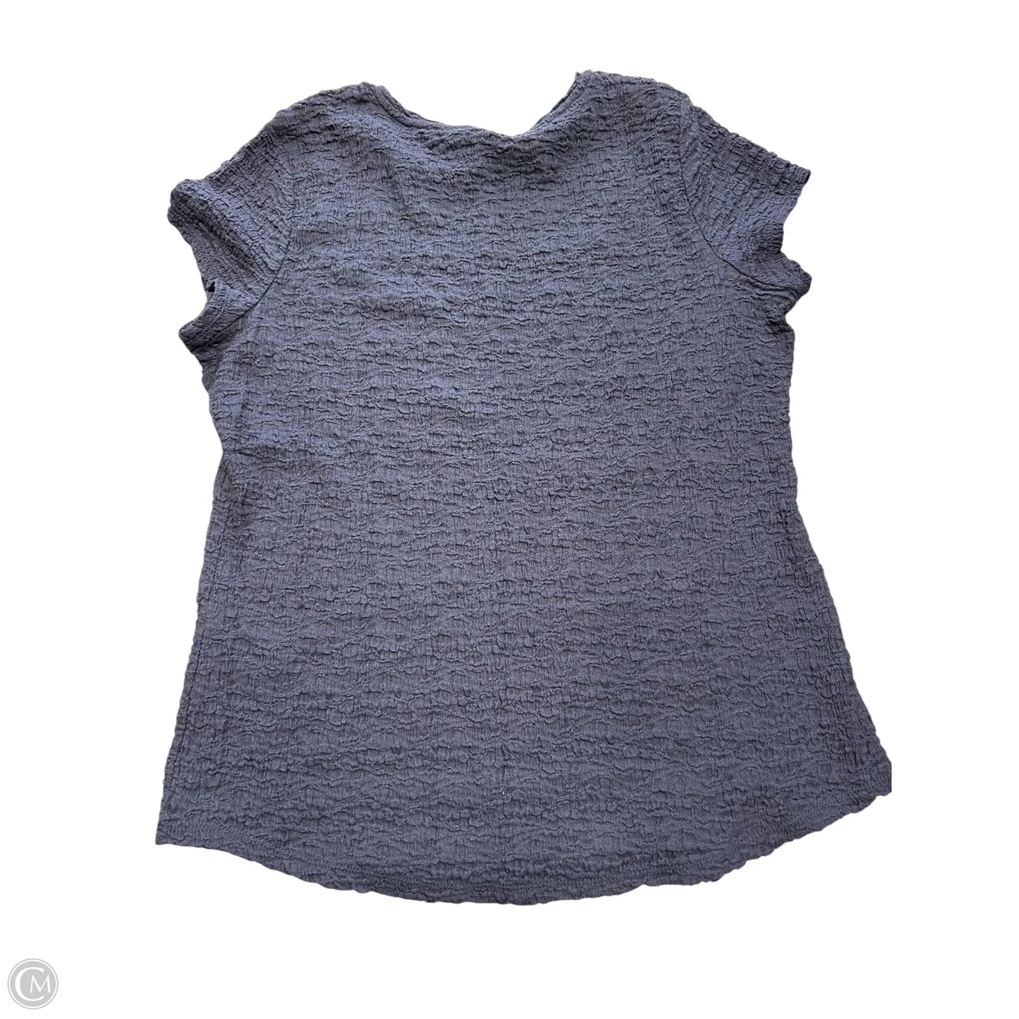 Top Short Sleeve By Chicos In Blue, Size: L