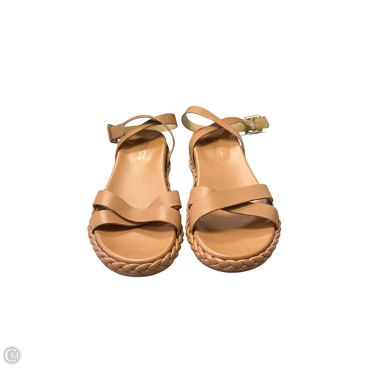 Sandals Flats By Chicos In Brown, Size: 8