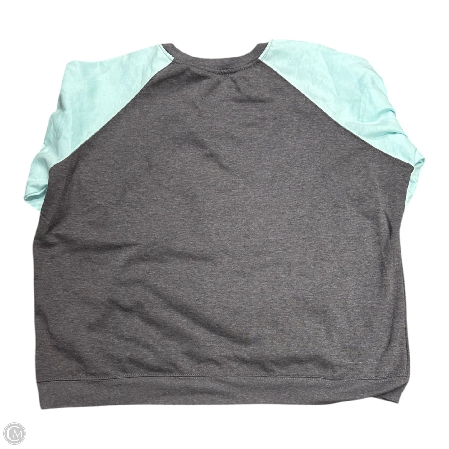Sweatshirt Crewneck By Clothes Mentor In Blue & Grey, Size: 2x