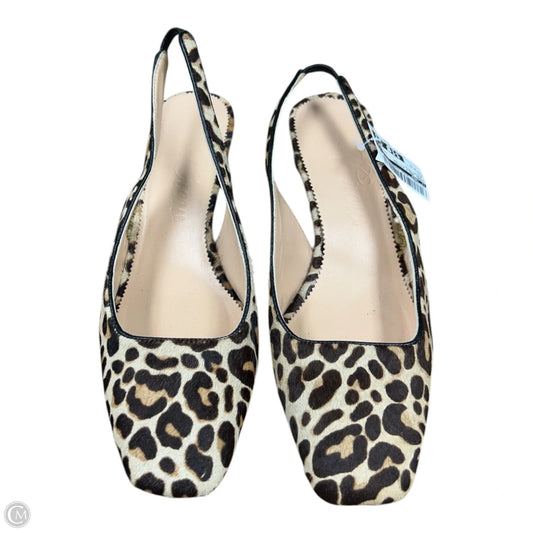 Shoes Heels Kitten By J. Crew In Leopard Print, Size: 8.5