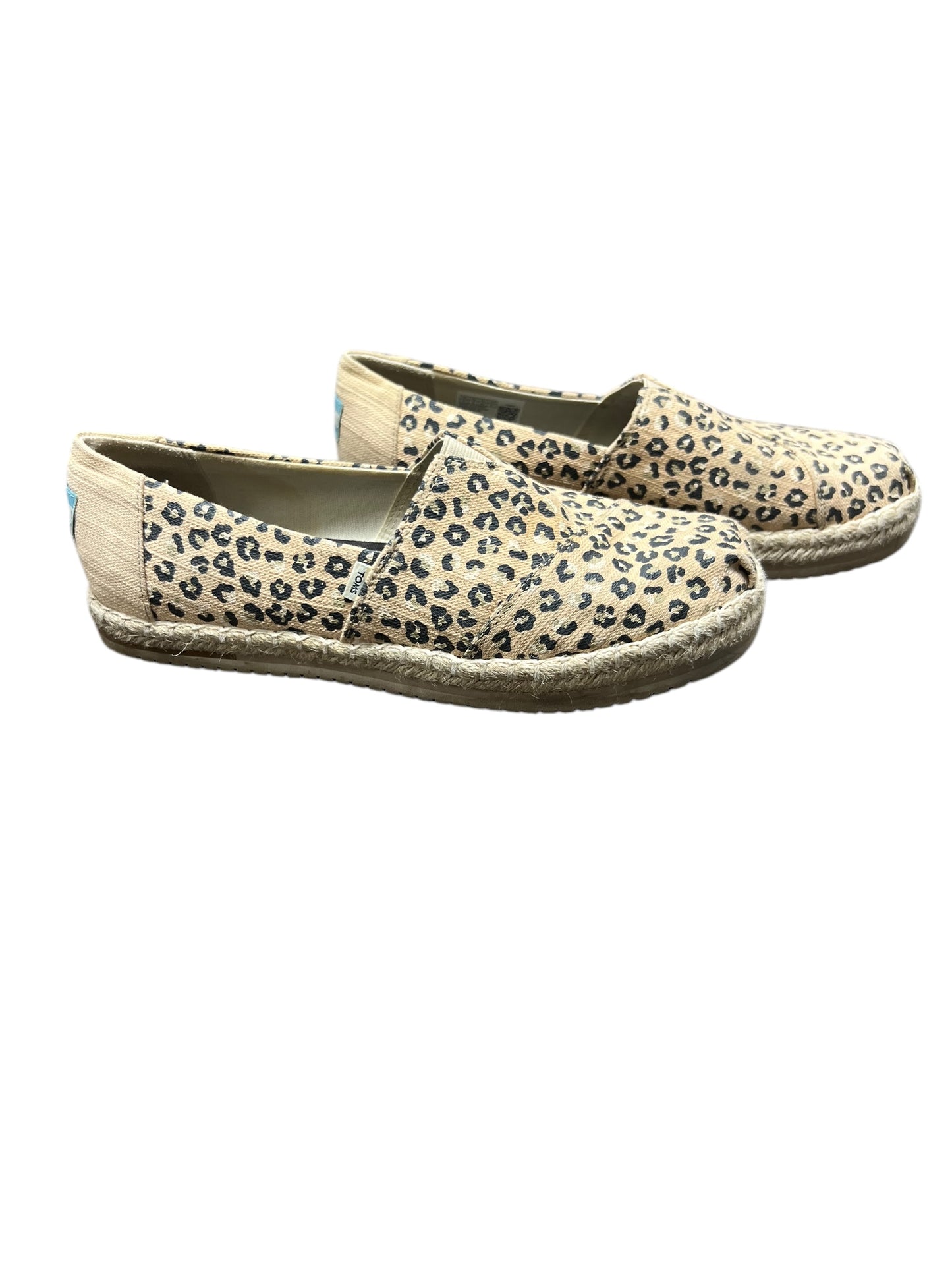 Shoes Flats By Toms In Leopard Print, Size: 10