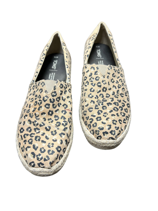 Shoes Flats By Toms In Leopard Print, Size: 10