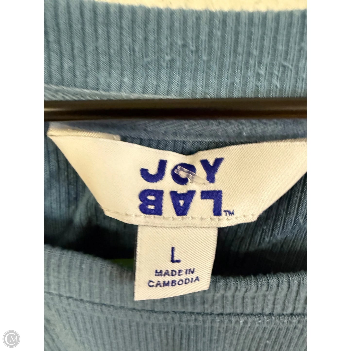 Athletic Top Long Sleeve Crewneck By Joy Lab In Blue, Size: L