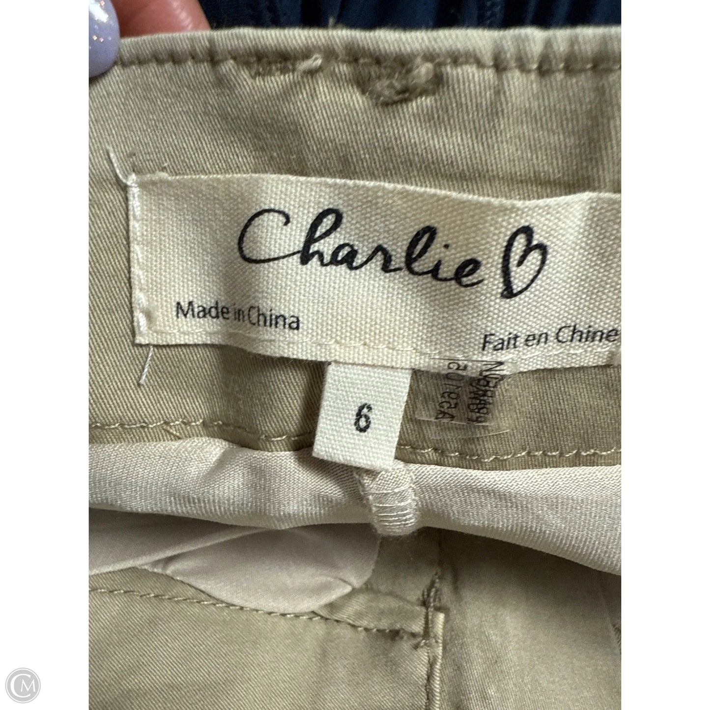 Skirt Mini & Short By Charlie B In Tan, Size: 6