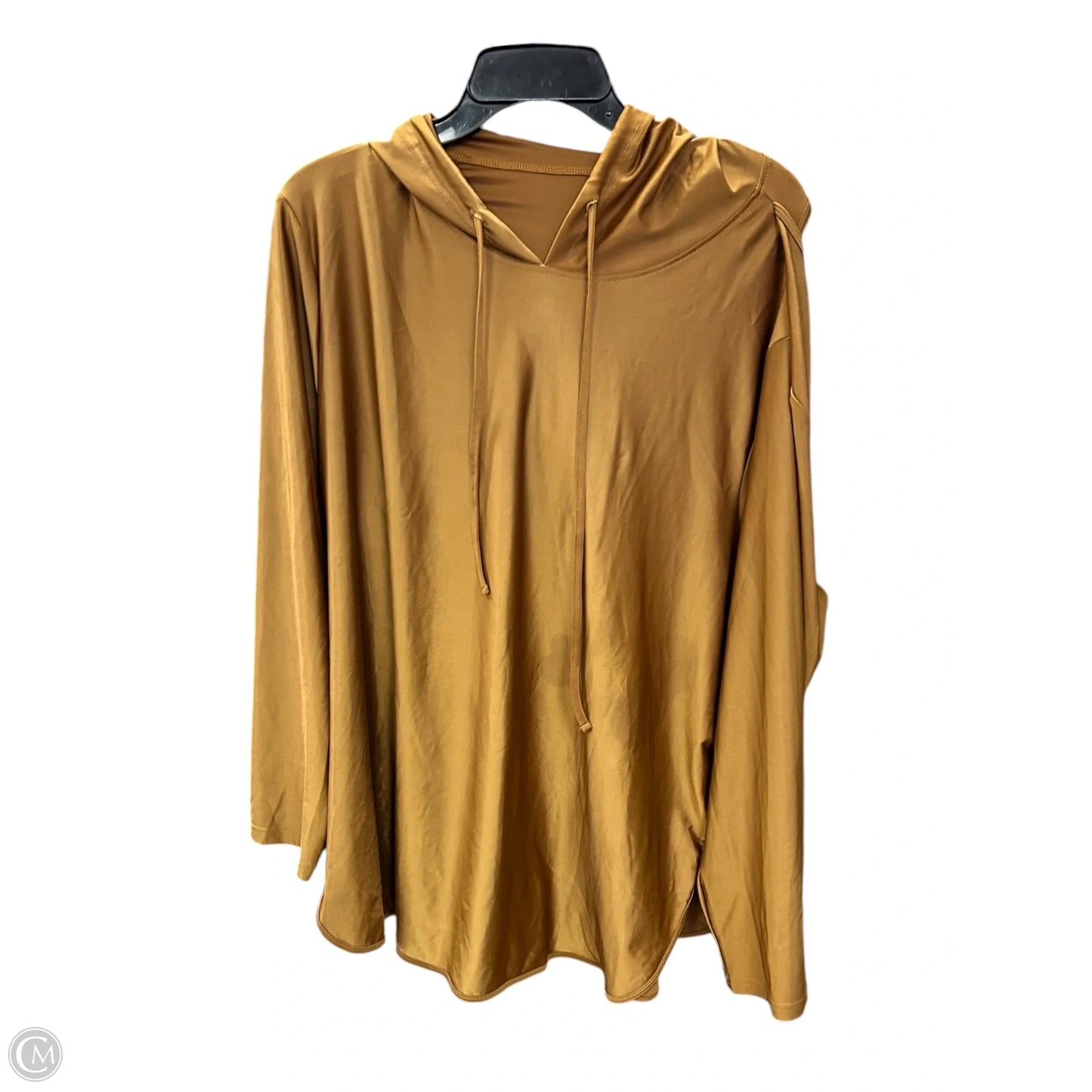 Athletic Top Long Sleeve Hoodie By Shein In Brown, Size: 3x